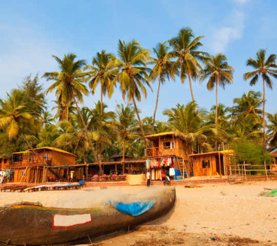 North Goa & South Goa – 6N/7D