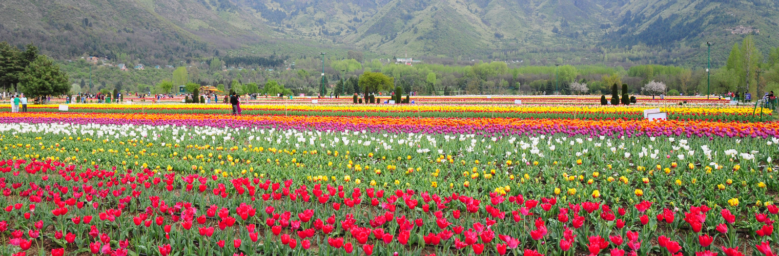 KASHMIR