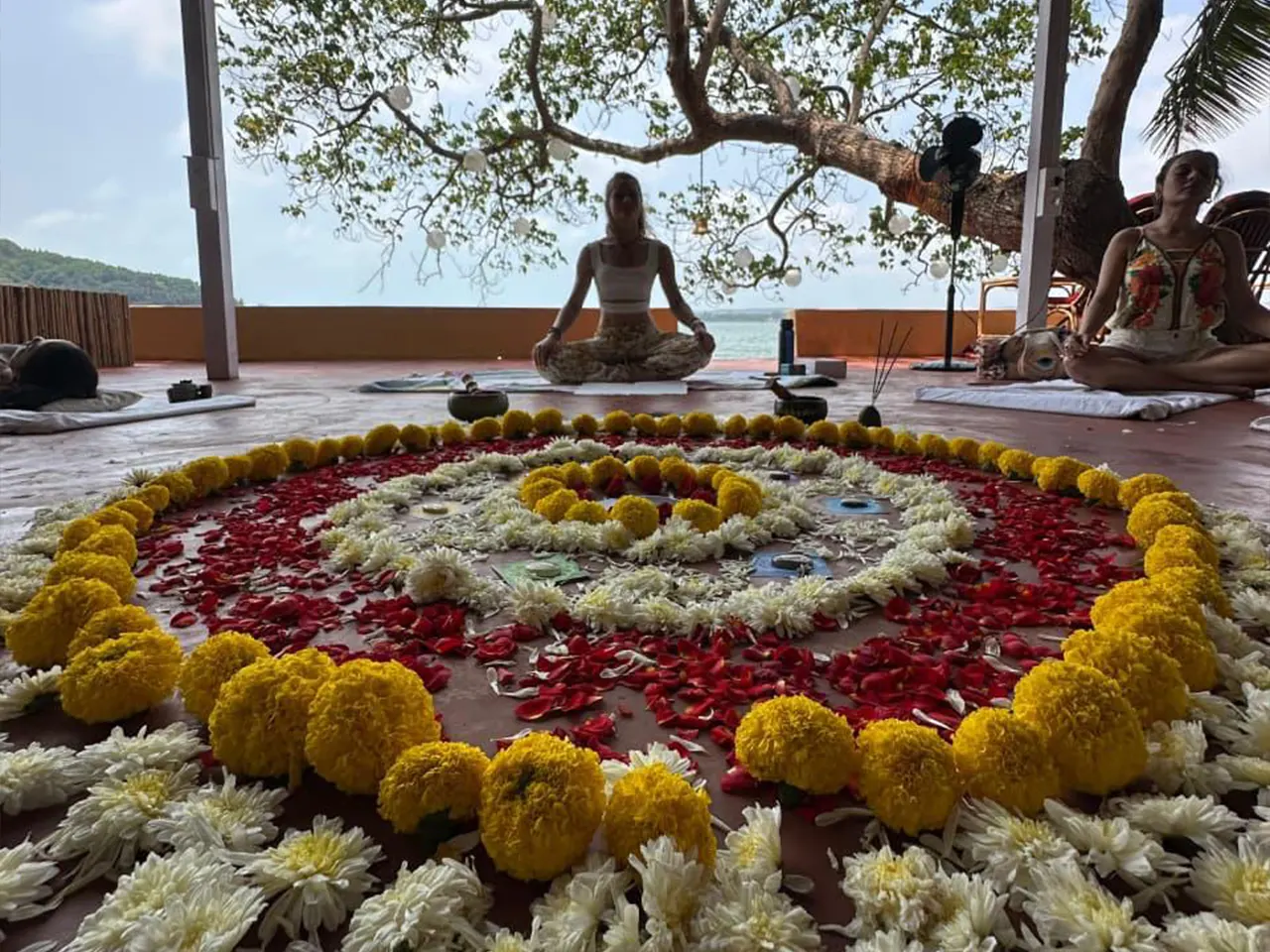 goa center 6