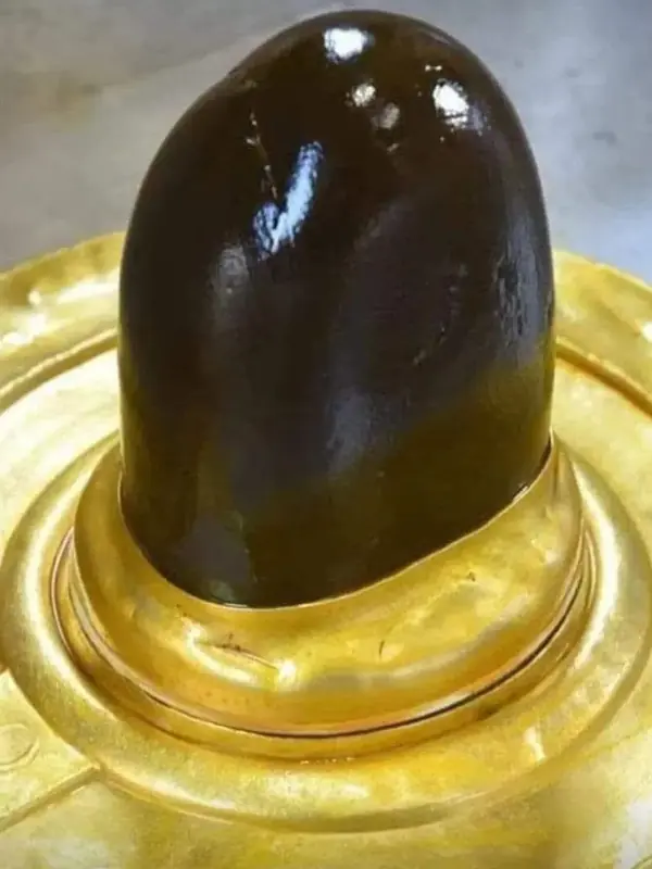 The Kashi Vishwanath Jyotirlinga Shivling on its gold base in Varanasi