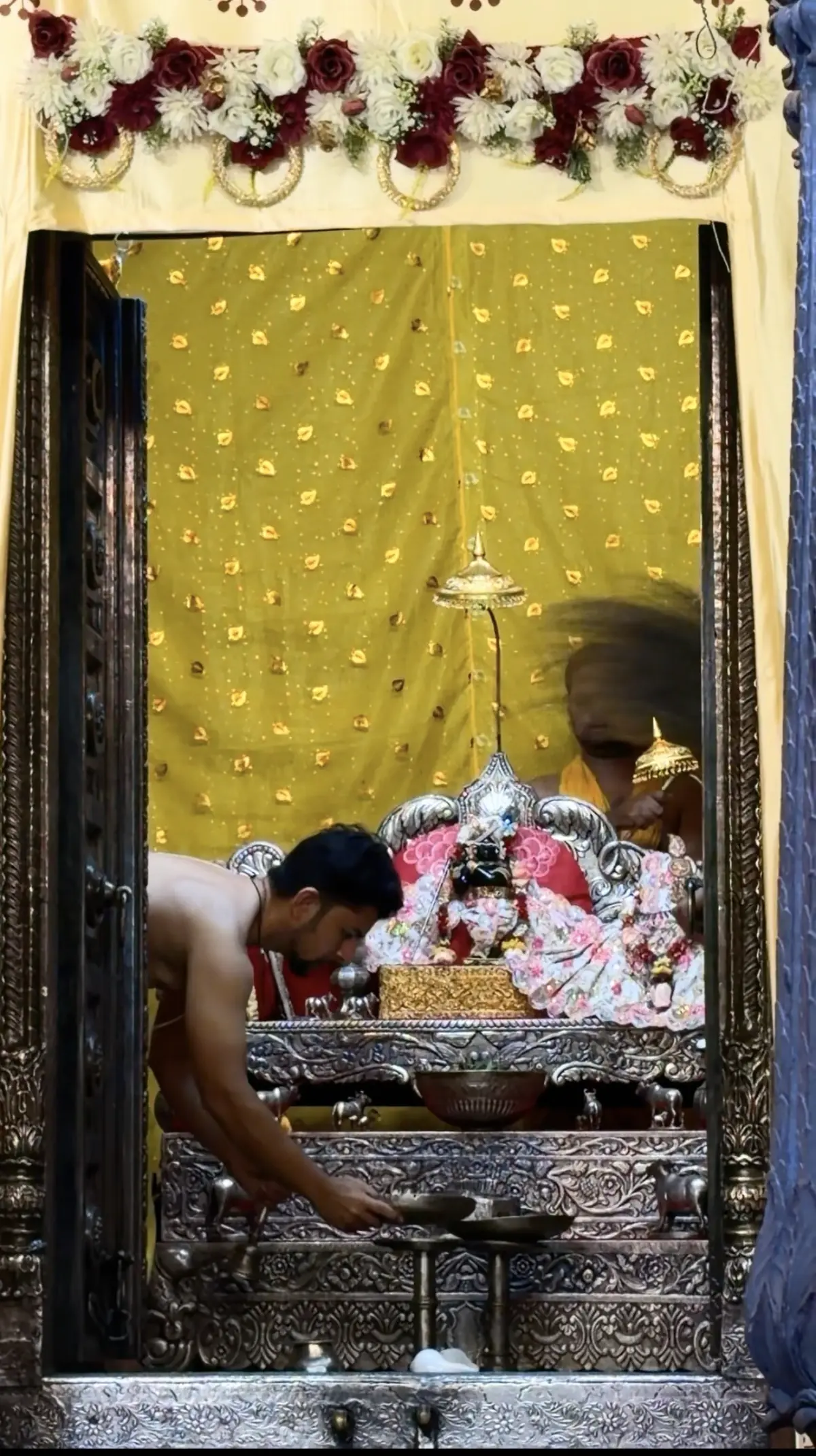 A priest arranging offerings at the silver altar before the deities in pink poshak at Sri Radha Raman Temple, Vrindavan, while another priest waves a chamar