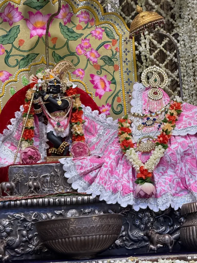 Deities of Sri Radha Krishna in a Vrindavan temple shrine, Krishna in black stone with a peacock crown and flute beside Radha in a pink floral poshak
